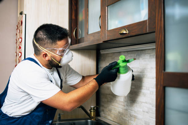 Best Local Pest Control Services  in Lake Summerset, IL