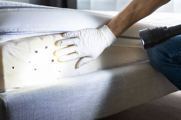 Best Best Pest Control Companies  in Lake Summerset, IL