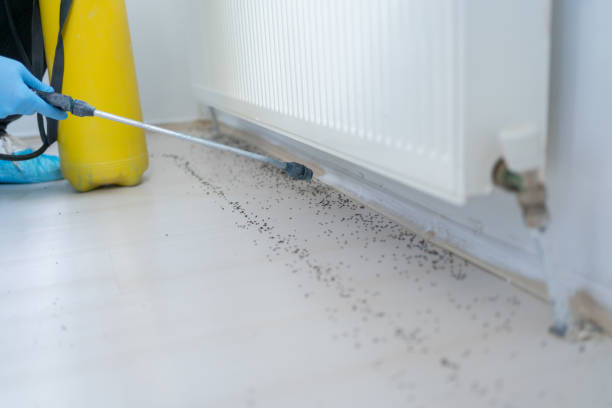 Best Pest Prevention Services  in Lake Summerset, IL