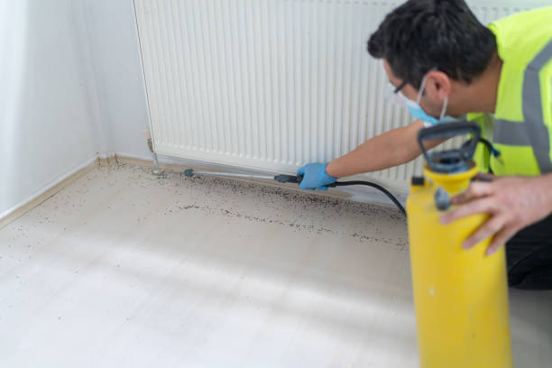 Best Wasp Removal Services  in Lake Summerset, IL